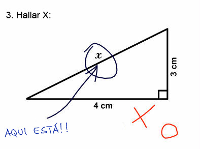 Respuestas reales de exámenes. Paridas Club