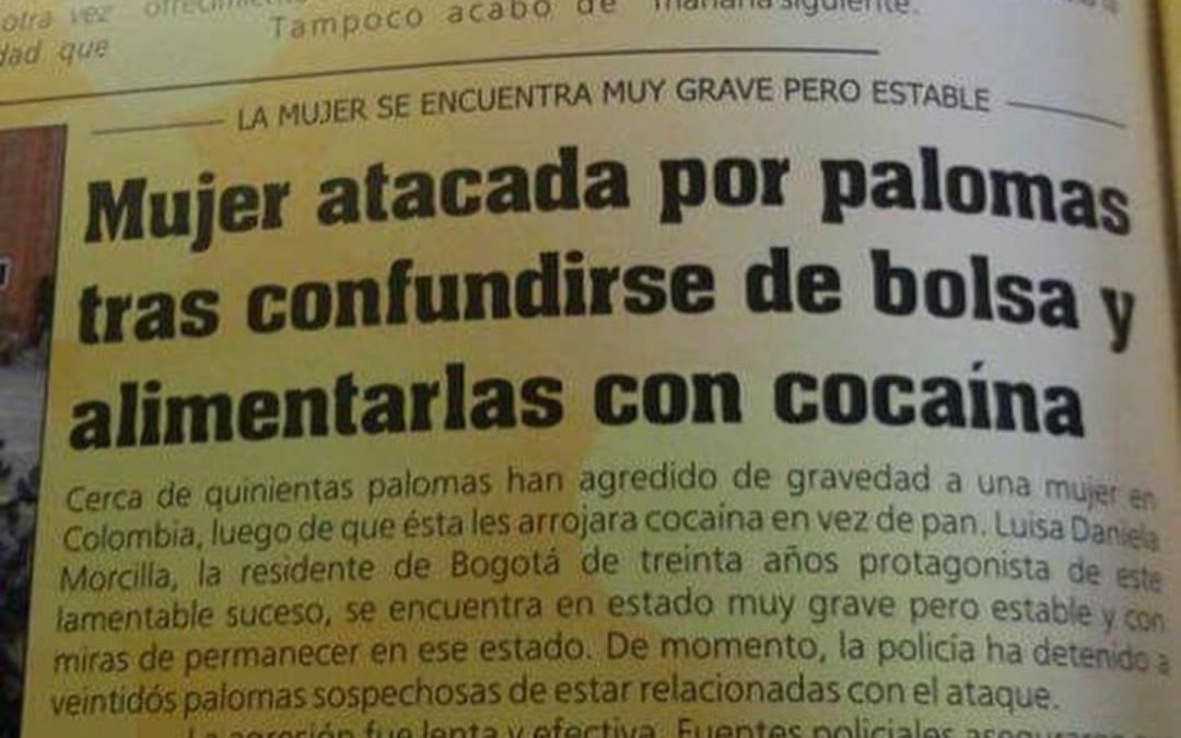 Mujer alimenta palomas con cocaína.