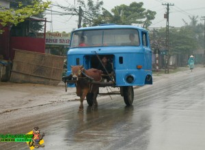 Carro con carrocería