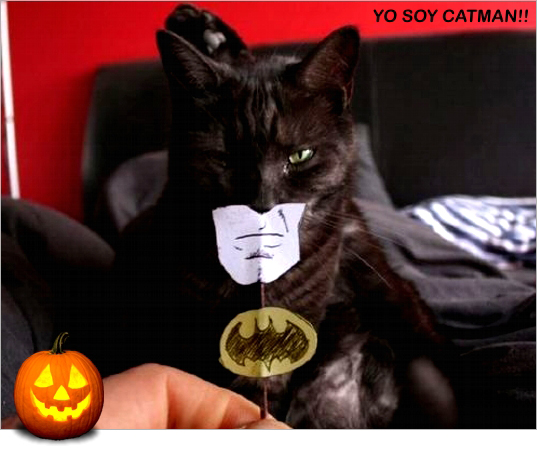 catman