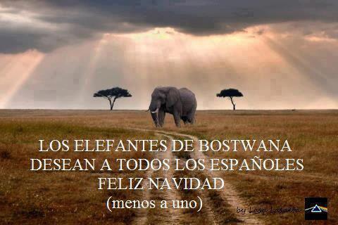 elefantes-botswana
