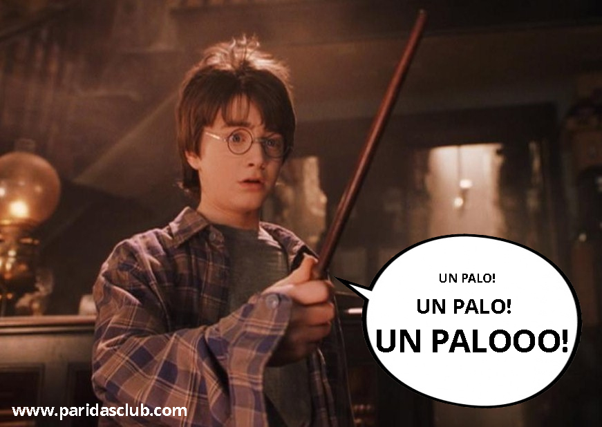 Harry-Potter-un-palo