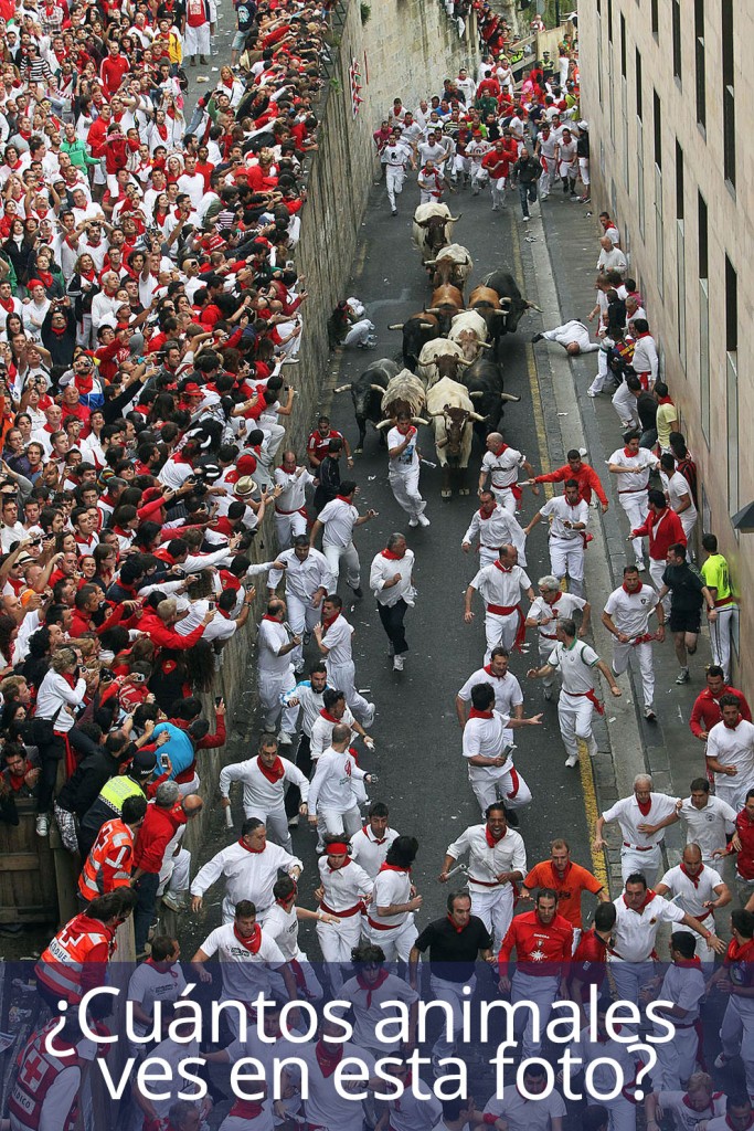 San Fermín. Cuenta los animales