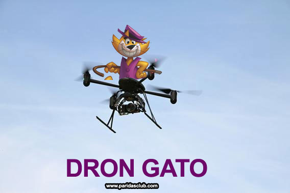Dron Gato