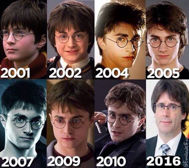 Harry Potterdemont