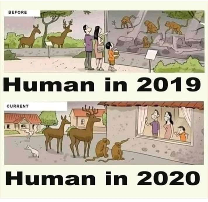 humans-2019-2020