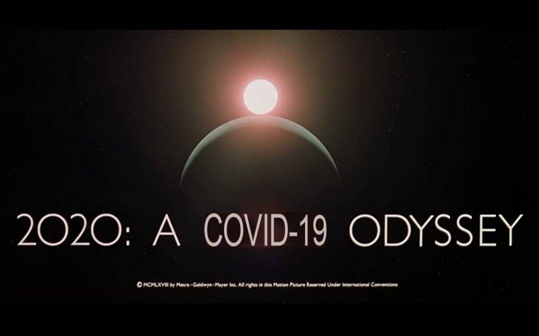 2020 Covid Odisssey